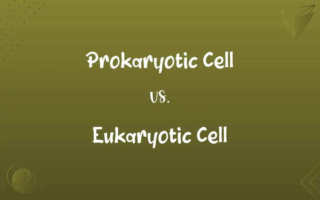 Prokaryotic Cell vs. Eukaryotic Cell