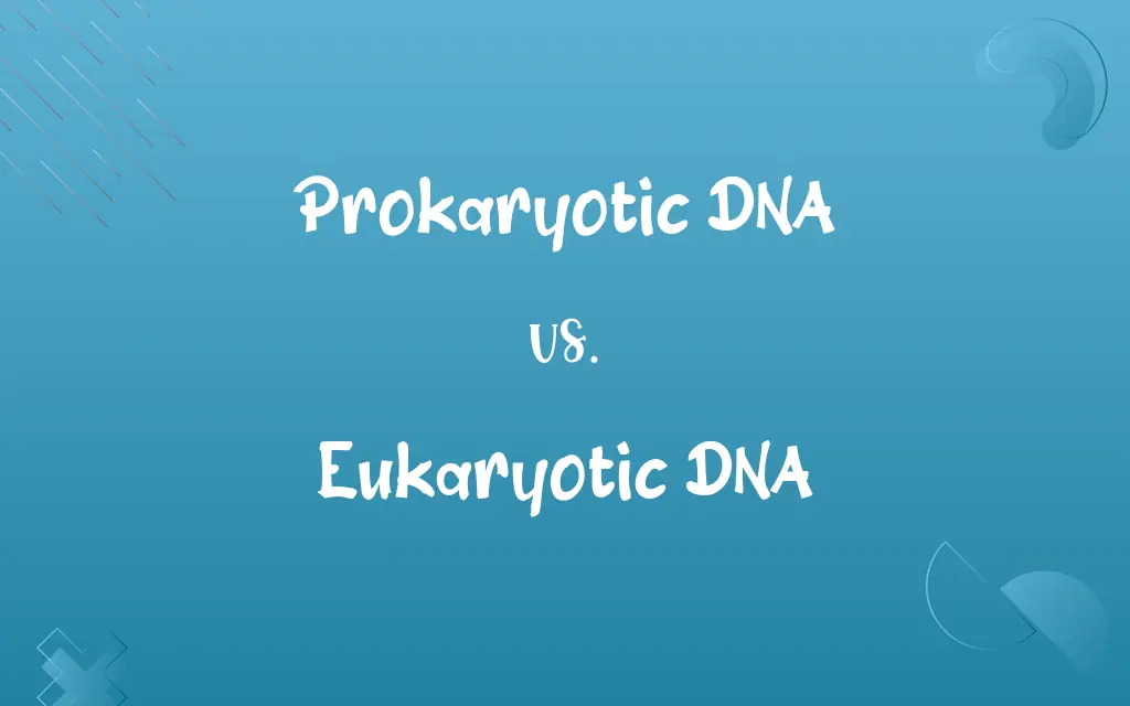 Prokaryotic DNA vs. Eukaryotic DNA