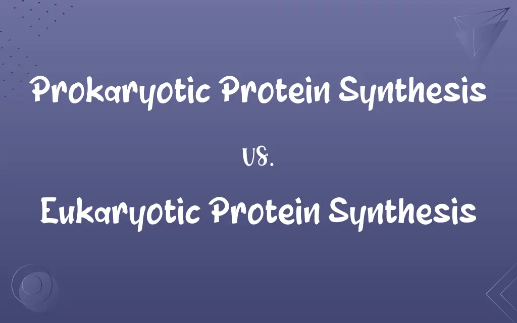 Prokaryotic Protein Synthesis vs. Eukaryotic Protein Synthesis