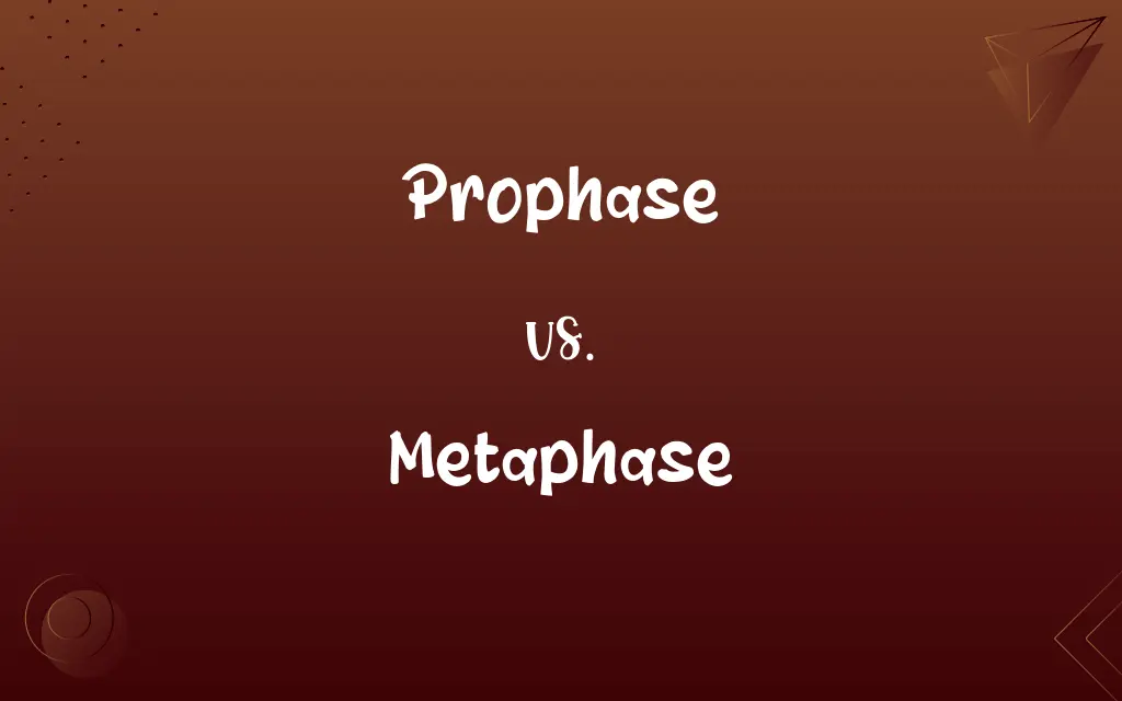 Prophase vs. Metaphase