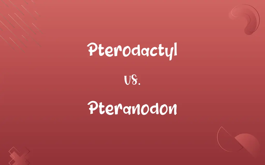 Pterodactyl vs. Pteranodon