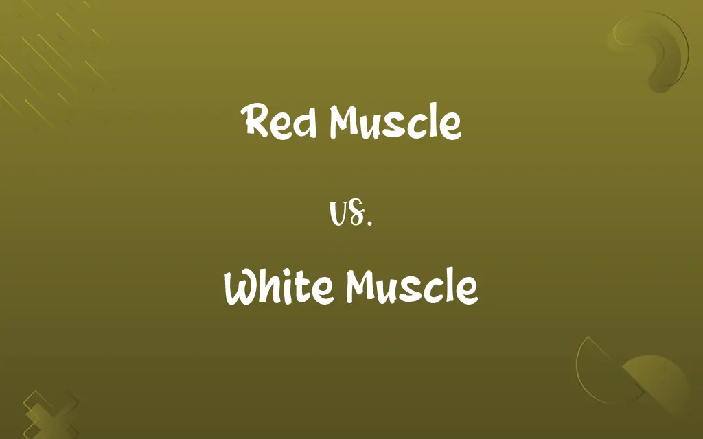 Red Muscle vs. White Muscle