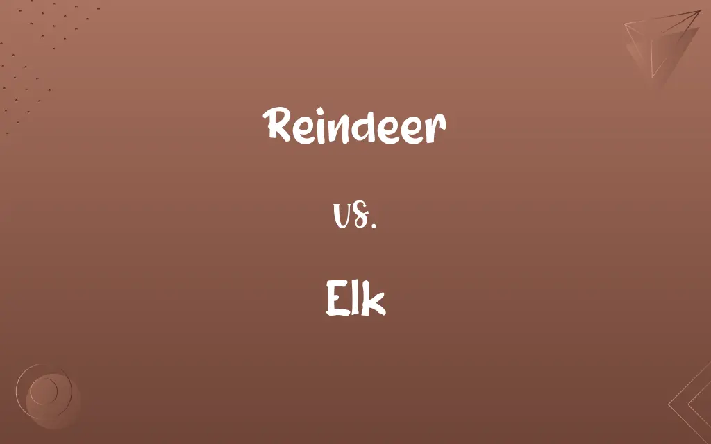 Reindeer vs. Elk