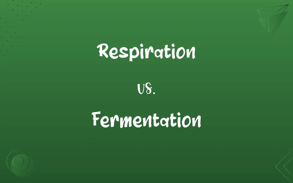 Respiration vs. Fermentation