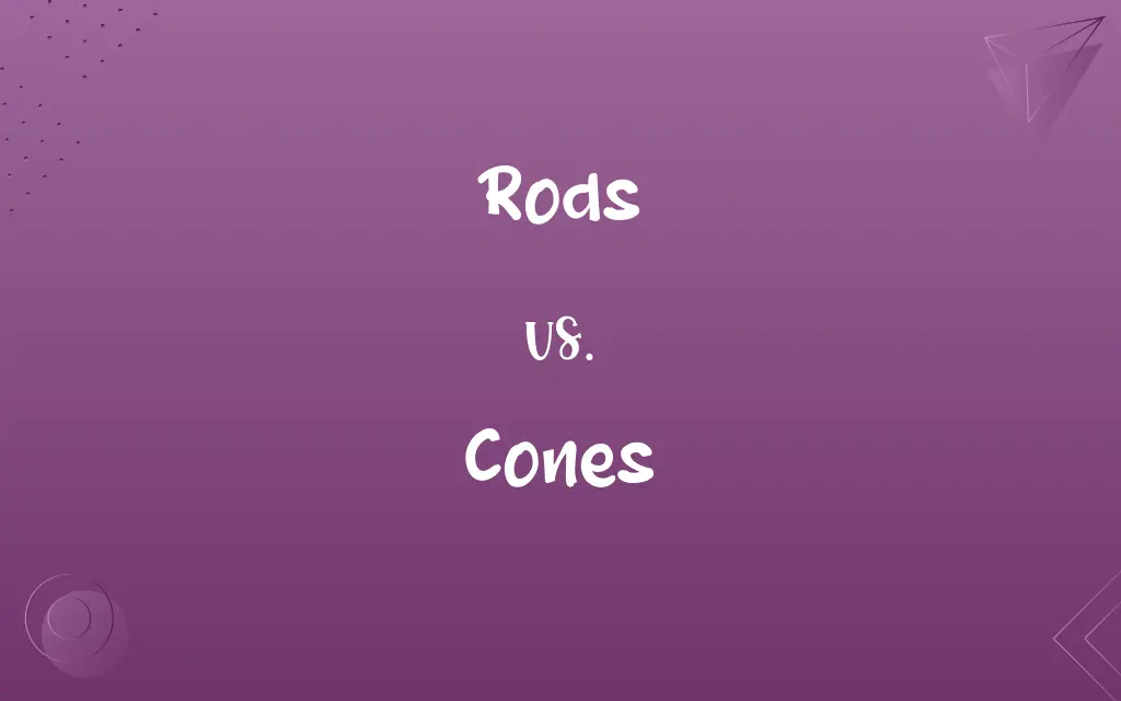 Rods vs. Cones