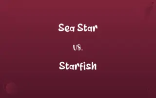 Sea Star vs. Starfish