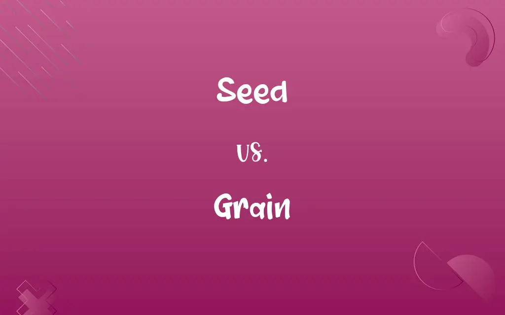 Seed vs. Grain
