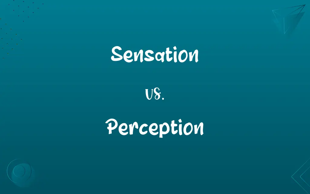 Sensation vs. Perception