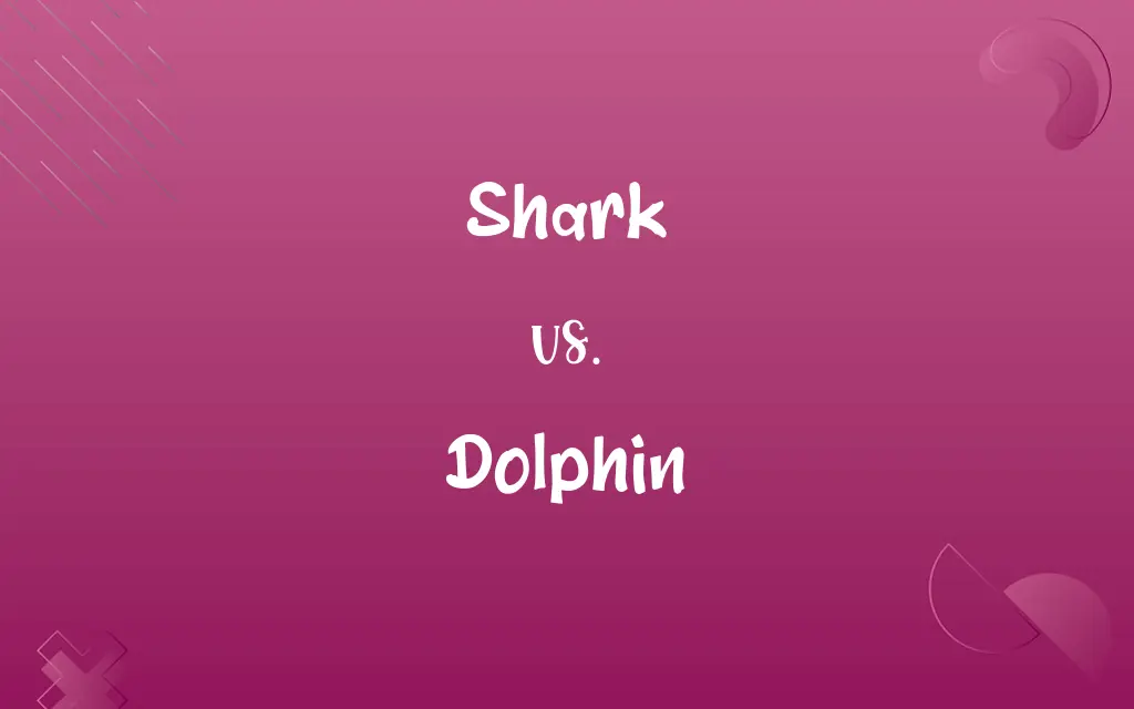 Shark vs. Dolphin