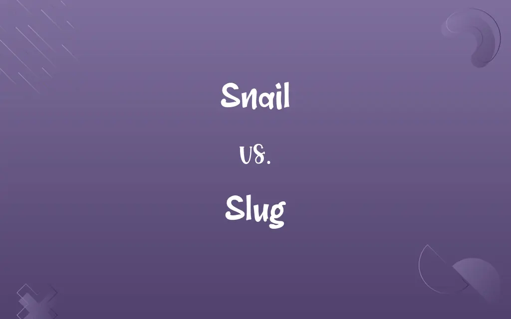Snail vs. Slug