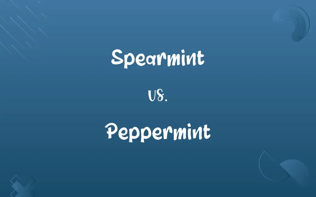 Spearmint vs. Peppermint