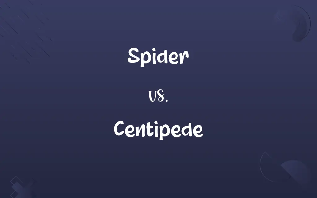 Spider vs. Centipede