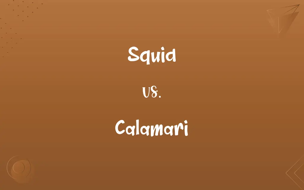 Squid vs. Calamari