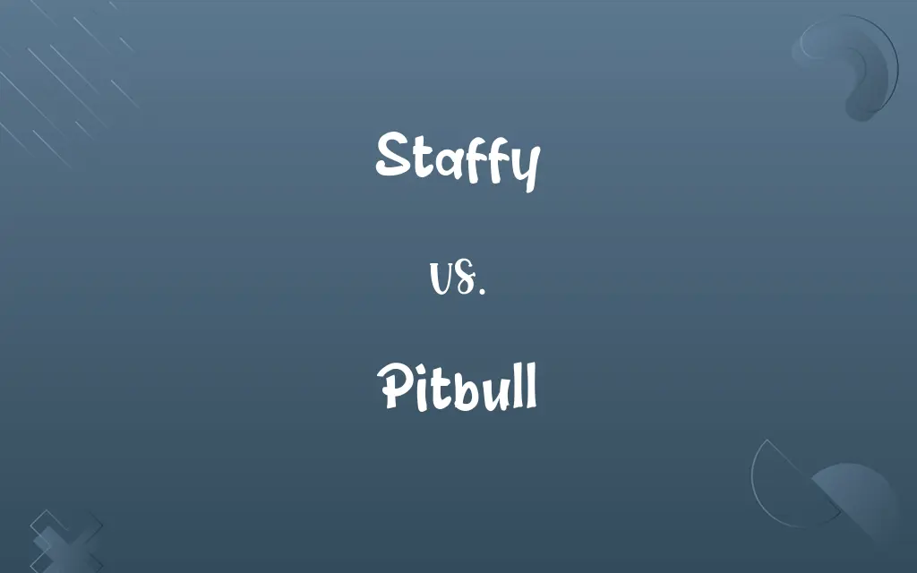 Staffy vs. Pitbull