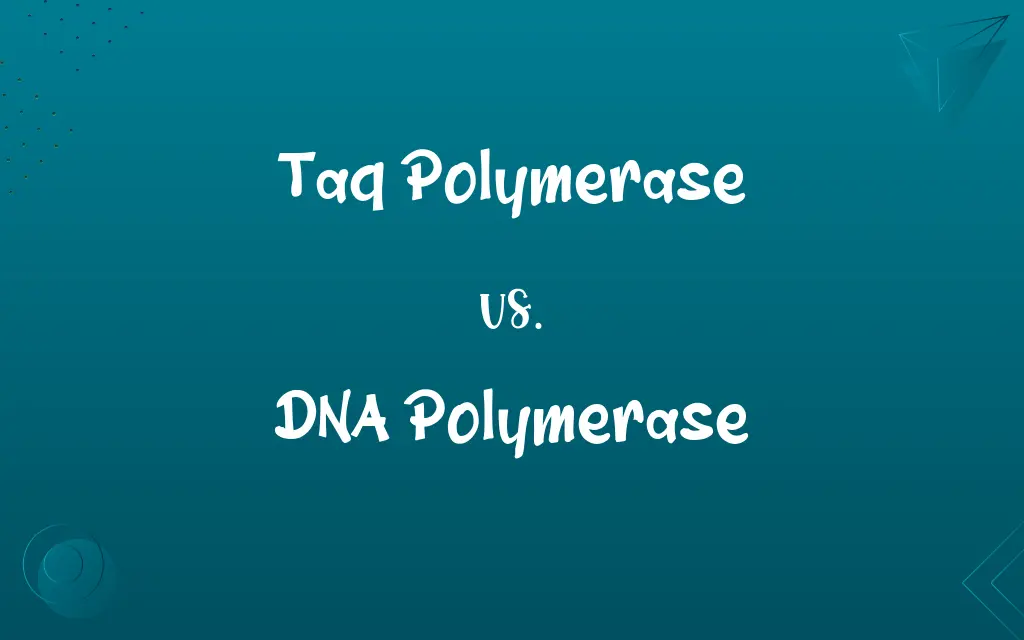 Taq Polymerase vs. DNA Polymerase