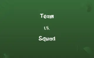 Team vs. Squad