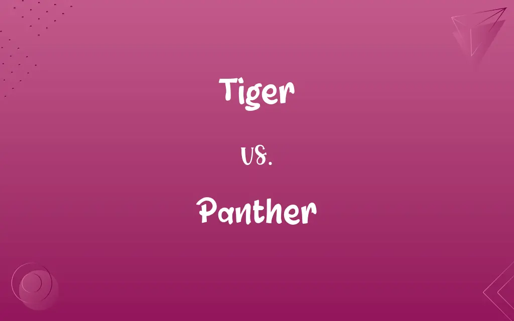 Tiger vs. Panther