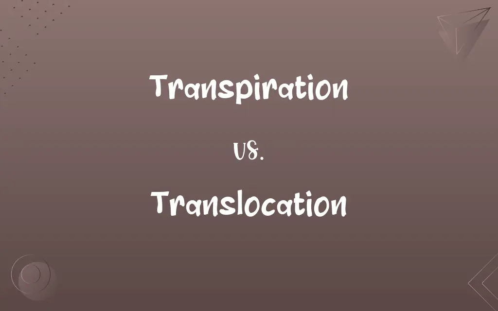 Transpiration vs. Translocation