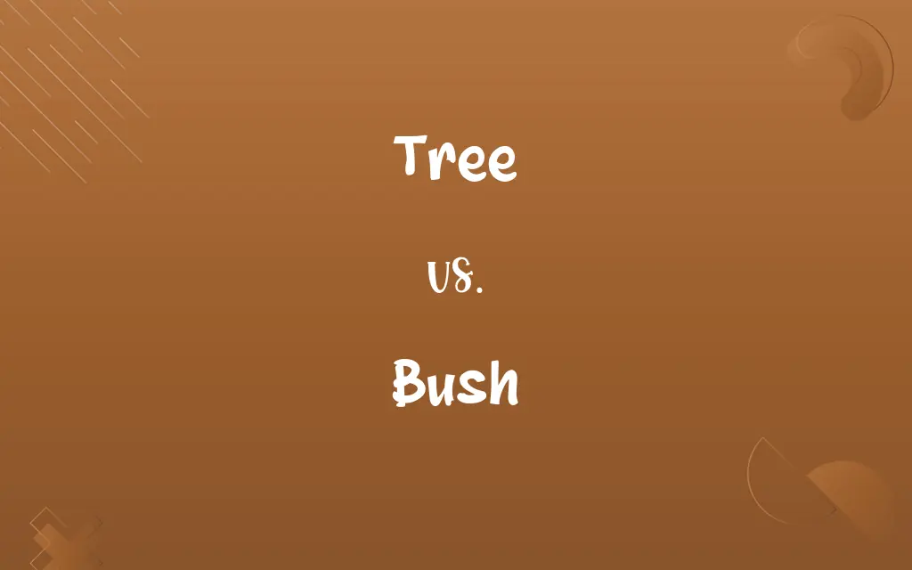 Tree vs. Bush