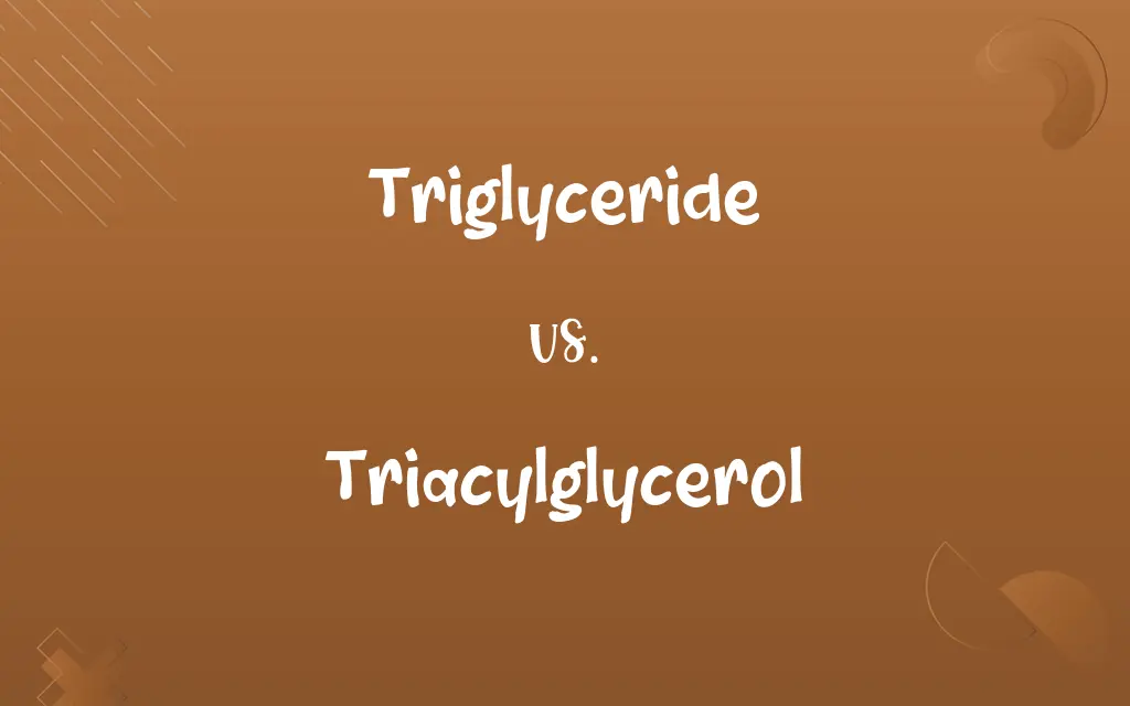Triglyceride vs. Triacylglycerol