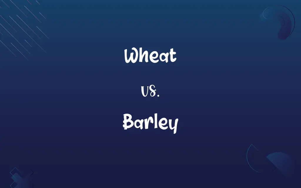 Wheat vs. Barley