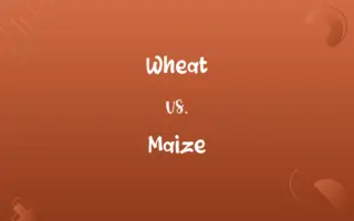 Wheat vs. Maize