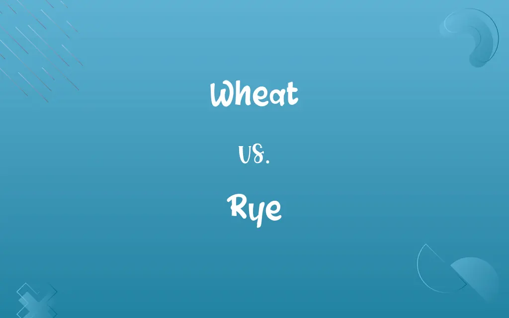 Wheat vs. Rye