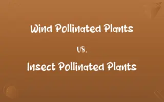 Wind Pollinated Plants vs. Insect Pollinated Plants