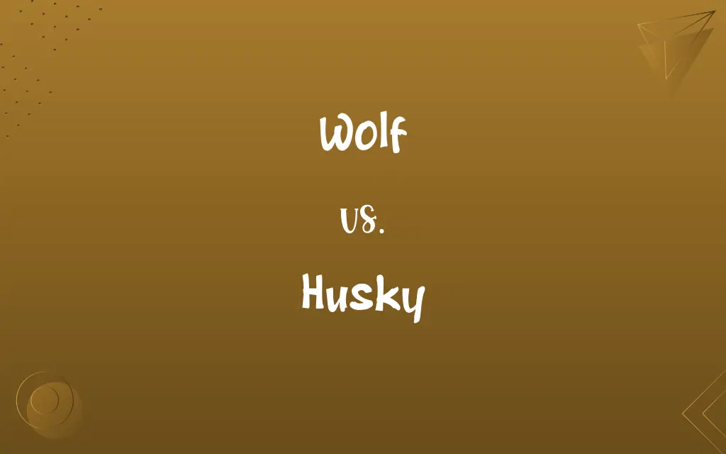 Wolf vs. Husky