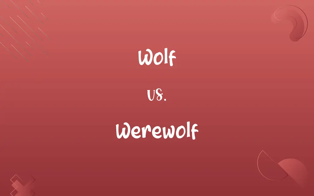 Wolf vs. Werewolf